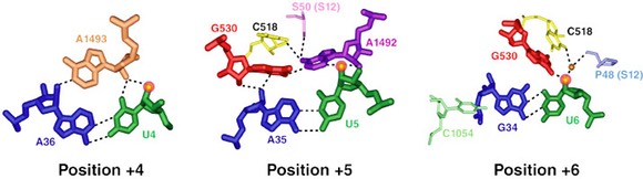 decoding4positions